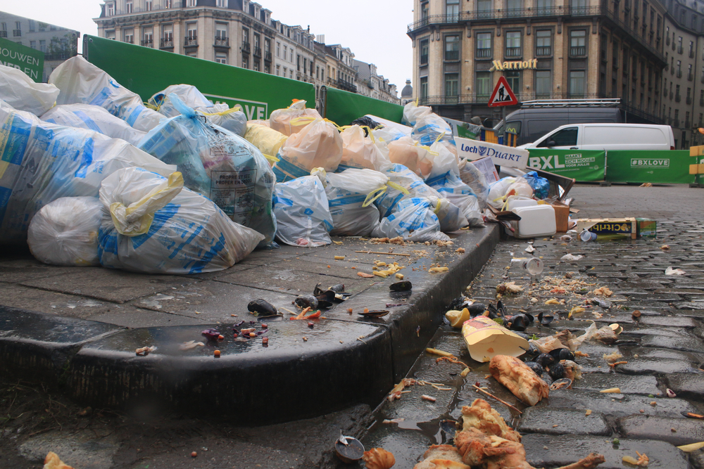 Rats et souris à Bruxelles : comment s’en débarrasser durablement grâce à Nuisibles Out